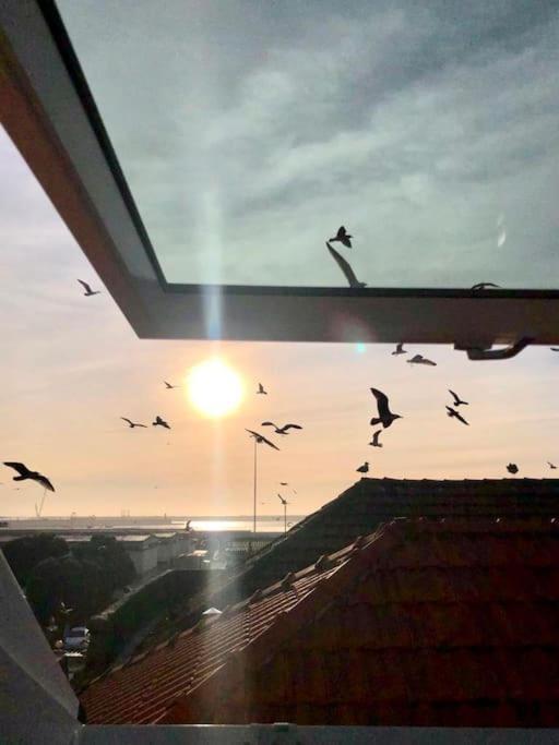 Lobo Do Mar Matosinhos Beach Loft Eksteriør bilde
